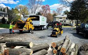 Best Tree Fertilization Services  in Morgans Point Resort, TX