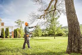 Best Tree Mulching Services  in Morgans Point Resort, TX