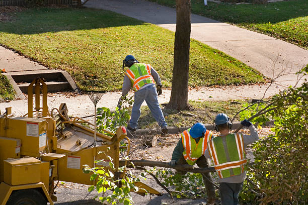 Best Commercial Tree Removal  in Morgans Point Resort, TX