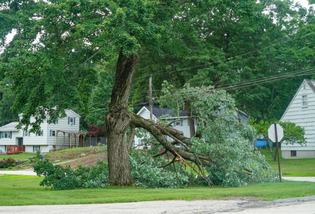 Best Tree Risk Assessment  in Morgans Point Resort, TX